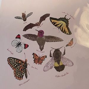 Meet your Posher, Ali